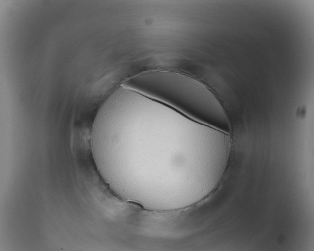 X0000112400045200908281801