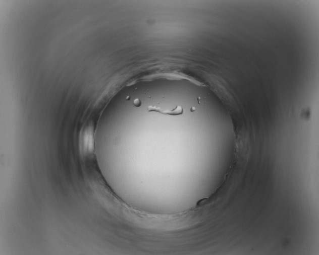 X0000112400046200908281801
