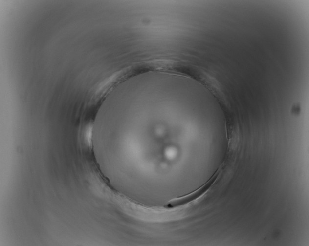 X0000112400047200908281801