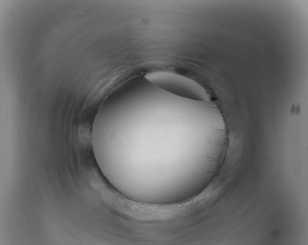 X0000112400048200908281801