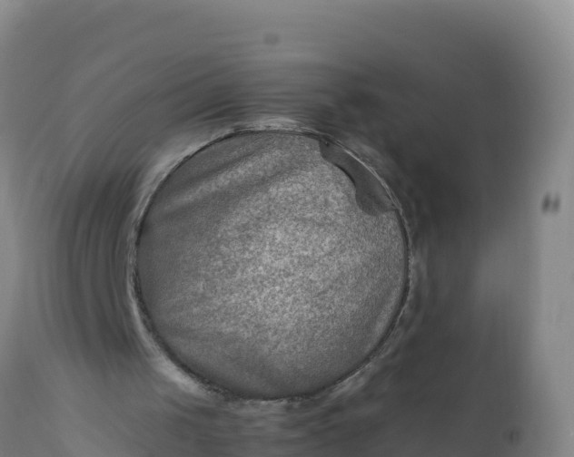 X0000112400049200908281800