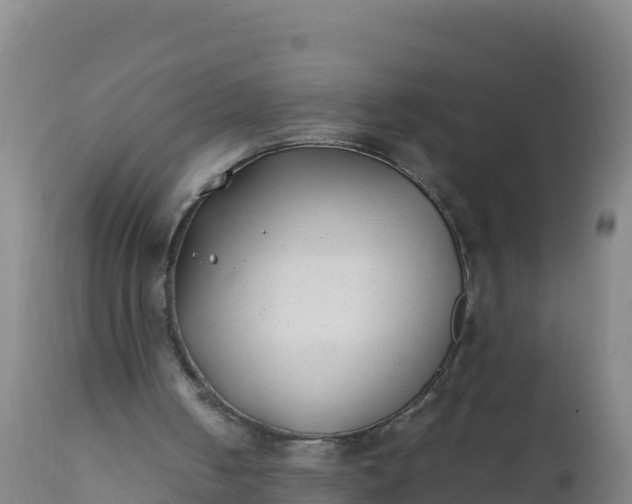 X0000112400050200908281800