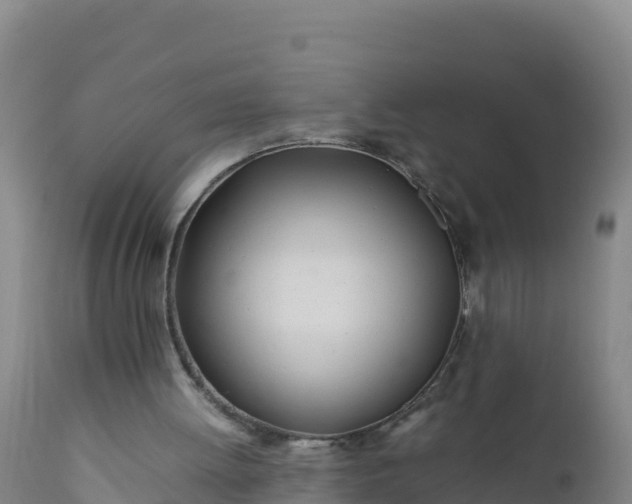 X0000112400052200908281800