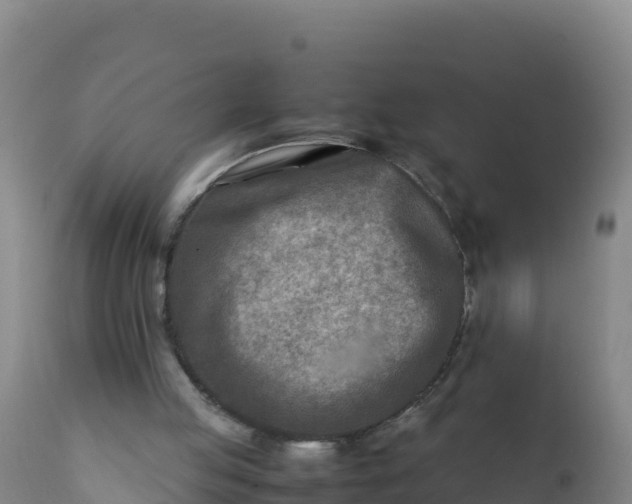 X0000112400053200908281800
