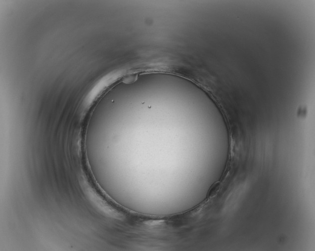 X0000112400054200908281800