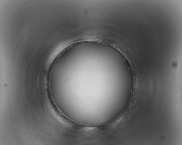 X0000112400055200908281800