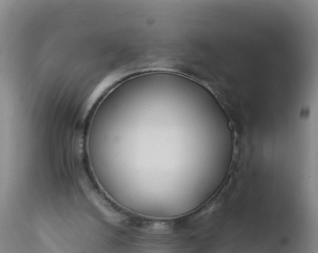 X0000112400056200908281800