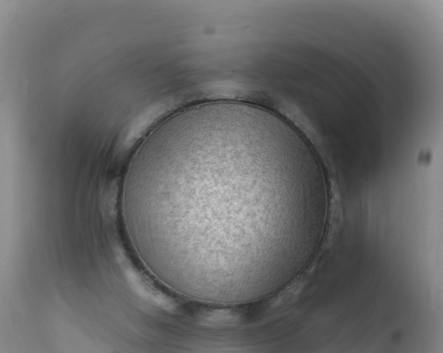 X0000112400058200908281800