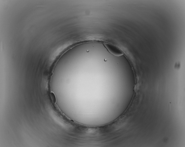 X0000112400060200908281800