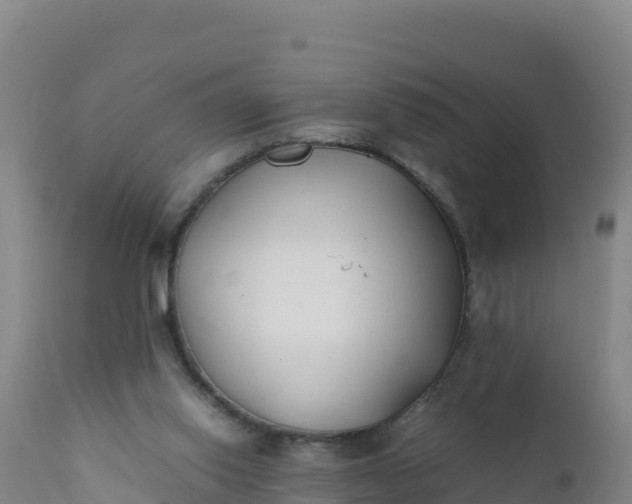 X0000112400062200908281800