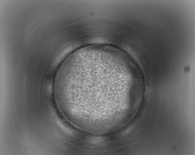 X0000112400063200908281800