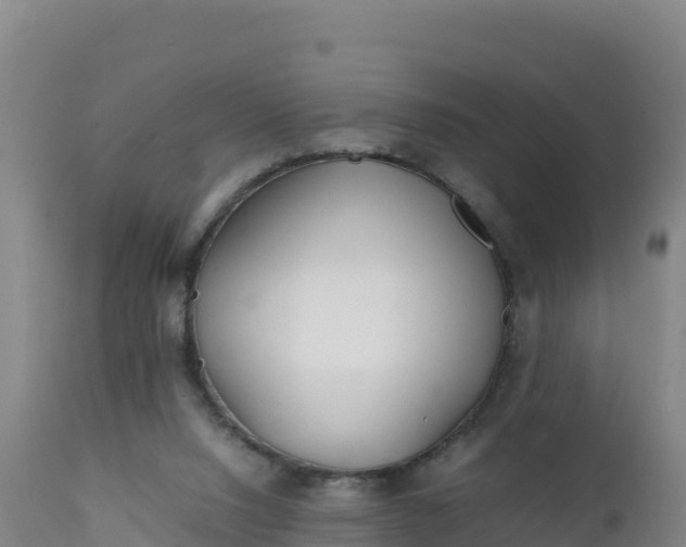 X0000112400064200908281800
