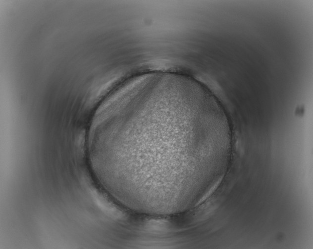 X0000112400066200908281800
