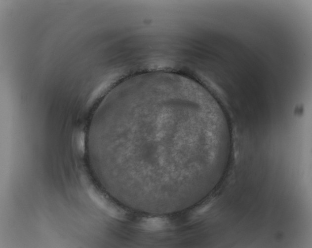 X0000112400067200908281800