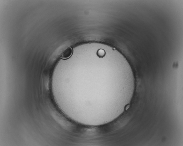 X0000112400068200908281800
