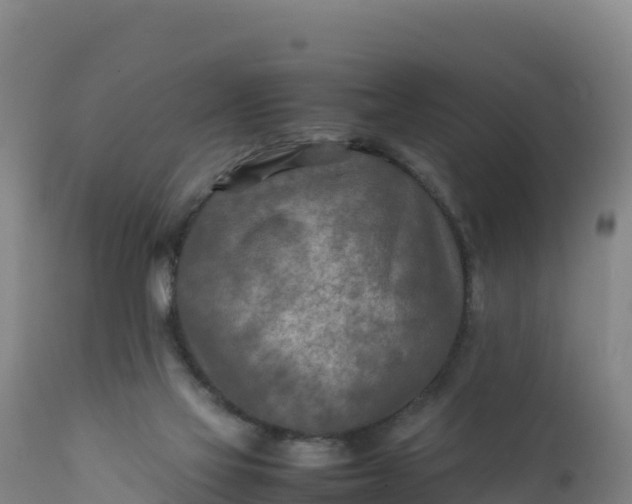 X0000112400069200908281800