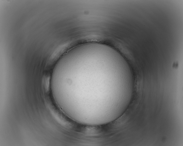 X0000112400070200908281800