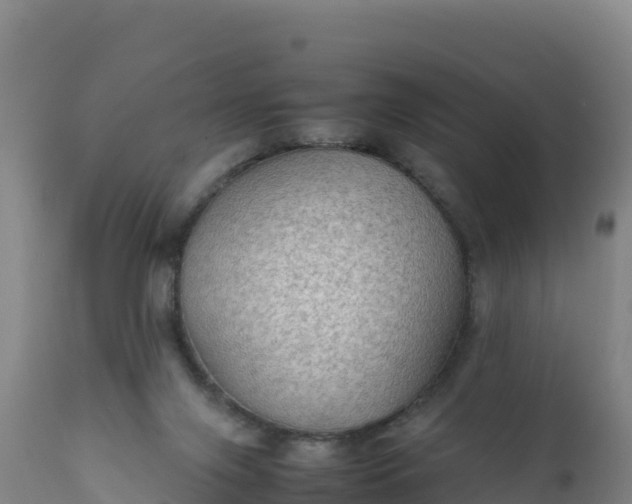 X0000112400071200908281800