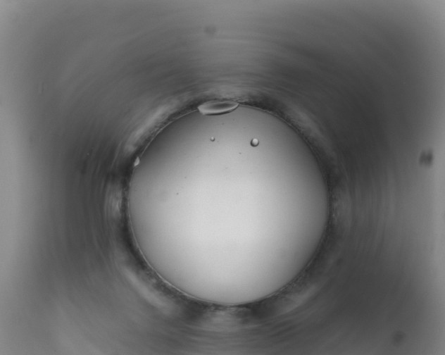 X0000112400072200908281800