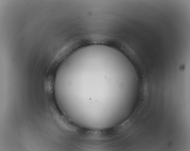 X0000112400074200908281800
