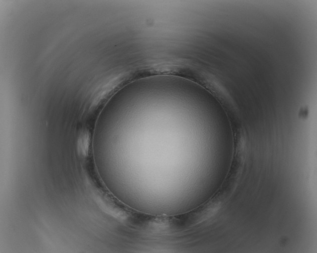 X0000112400076200908281800