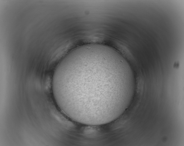 X0000112400077200908281800