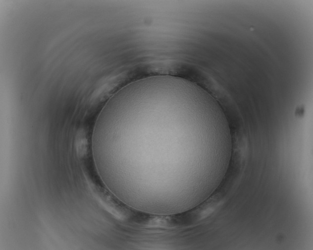 X0000112400080200908281800