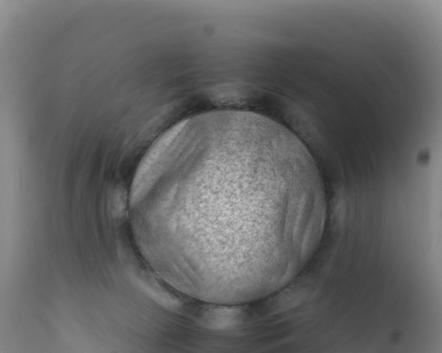 X0000112400081200908281800