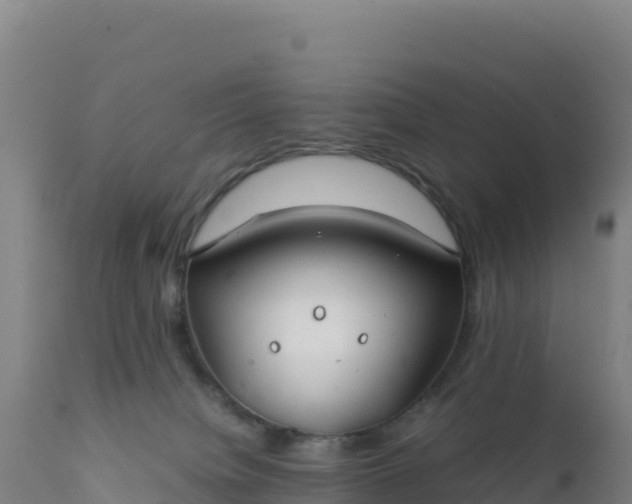 X0000112400084200908281800