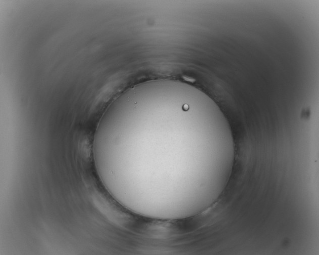 X0000112400086200908281801