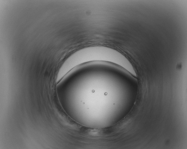 X0000112400088200908281801