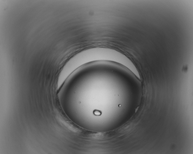 X0000112400092200908281801