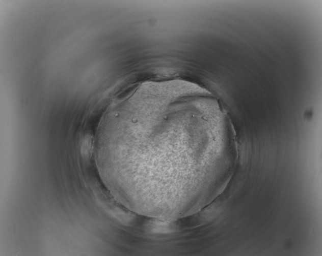 X0000112400093200908281801
