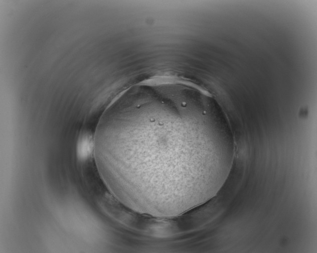 X0000112400095200908281801