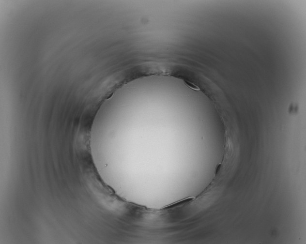 X0000112400096200908281801