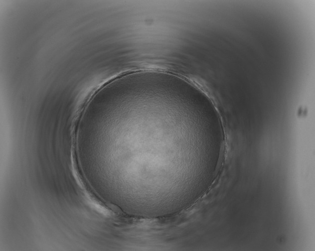 X0000112400097200908281800