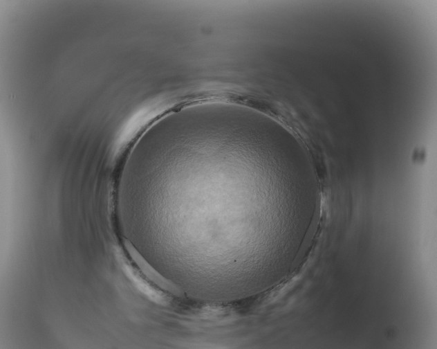 X0000112400101200908281800