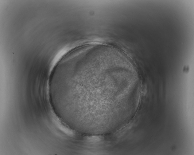X0000112400102200908281800