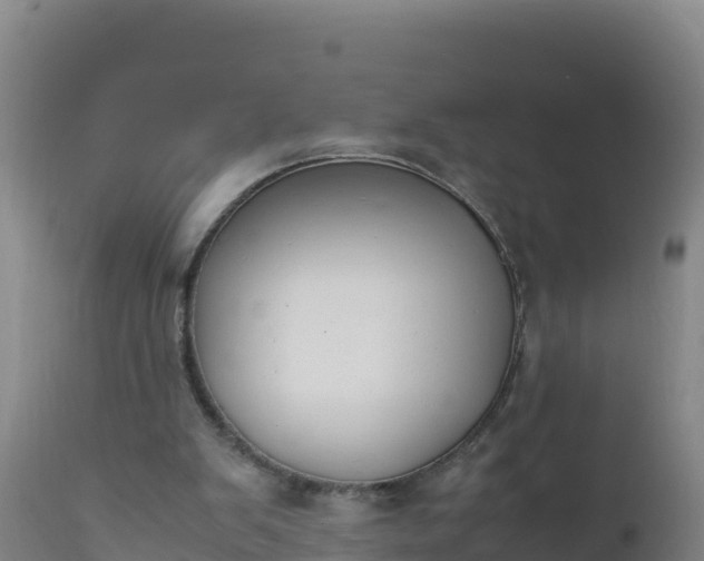 X0000112400103200908281800