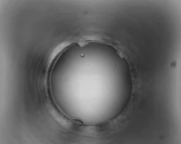 X0000112400104200908281800