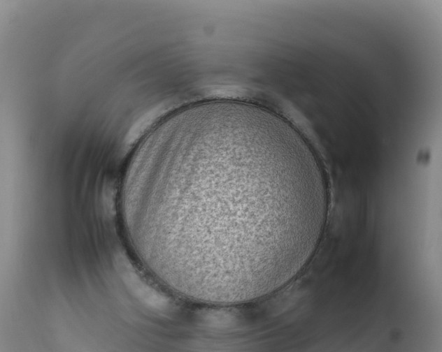 X0000112400106200908281800