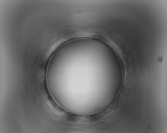 X0000112400107200908281800