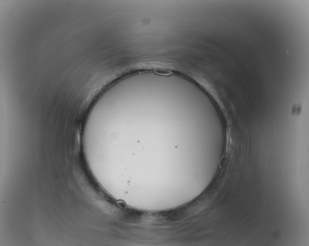 X0000112400109200908281800