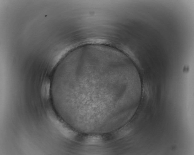 X0000112400110200908281800