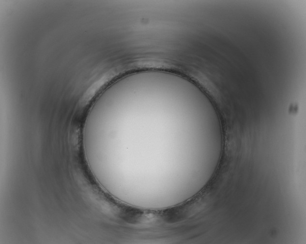 X0000112400111200908281800