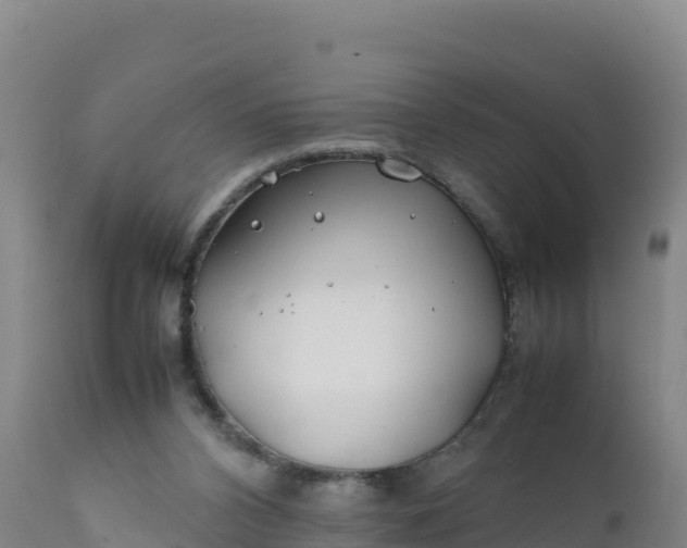 X0000112400112200908281800
