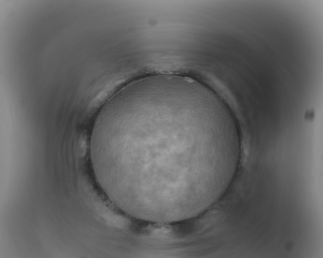 X0000112400113200908281800