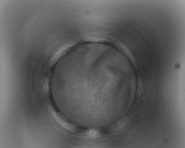 X0000112400114200908281800