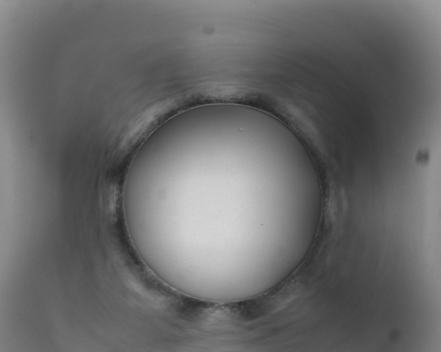 X0000112400115200908281800
