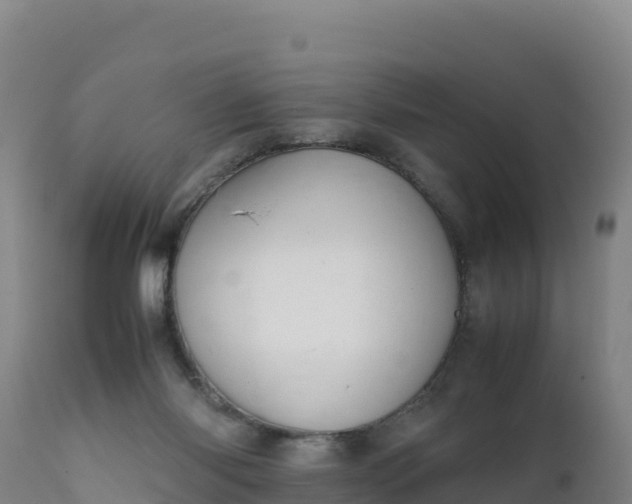 X0000112400118200908281800